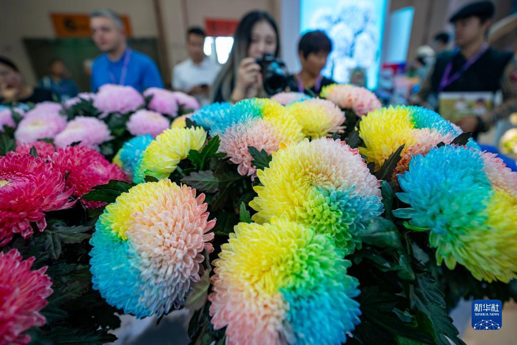 微信炸金花挂